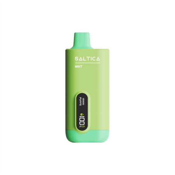 Saltica Ekranlı 12000 Mint kullan at vape bar ile ferah nane ve salt nikotin keyfini yaşamak için sipariş verin.