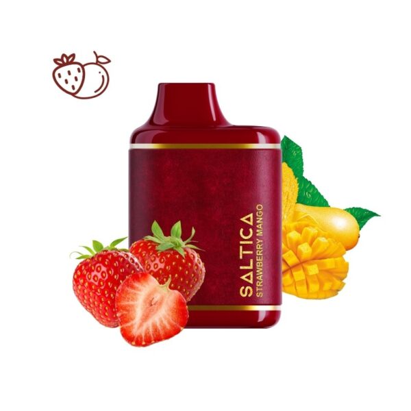 Saltica Leather 7000 Strawberry Mango kullan-at vape bar ile çilek ve mango aromalarını keşfedin ve hemen sipariş verin.