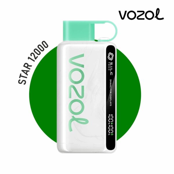 Vozol Star 12000 Cool Mint kullan-at vape barı hemen sipariş ver ve ferahlatıcı nane deneyimini yaşa.